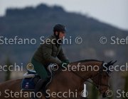 Cantlena FZ Tosc Tour2013- S5 1809 : Arezzo, Cantlena FZ, Cavalli d'Italia, Toscana Tour 2013, foto di Stefano Secchi ©